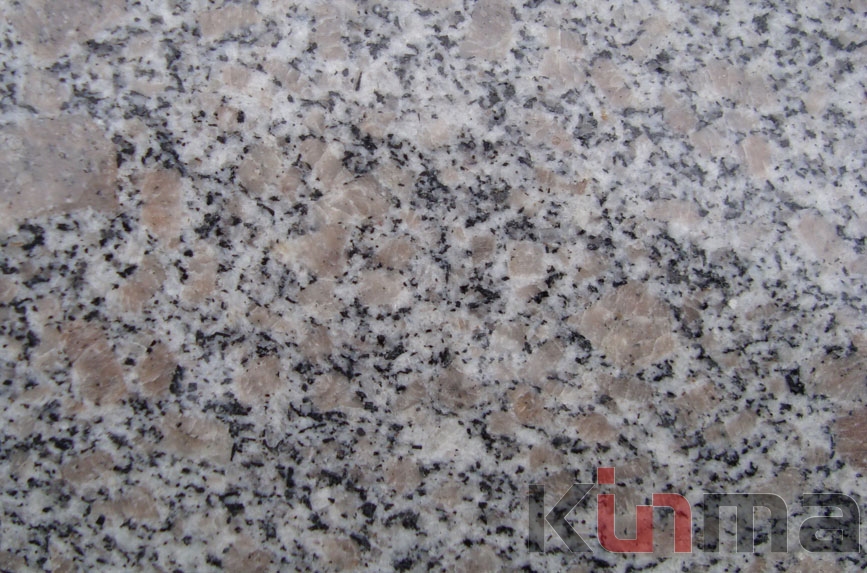 Brown granite tile G341
