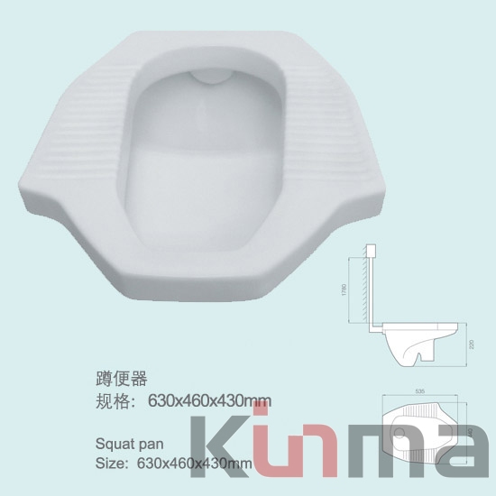 Porcelain squating toilet