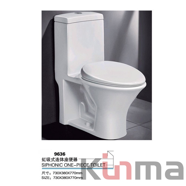 modern design toilet